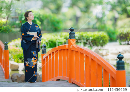 A woman wearing a formal kimono A woman wearing a formal kimono 113456669