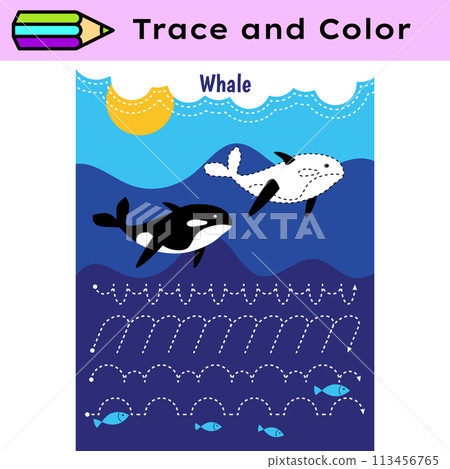 Pen tracing lines activity worksheet for children. Pencil control for kids practicing motoric skills. Whales educational printable worksheet. Vector illustration. 113456765