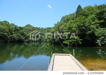 兵庫縣神戶市灘區_Hodakako 12_July 2023 113456894