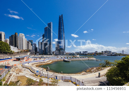 Sydney Harbour and Barangaroo Reserve in Australia 113456931
