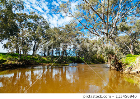 Campaspe River in Axedale in Australia 113456940