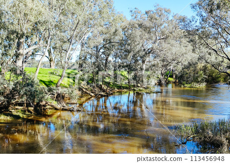 Campaspe River in Axedale in Australia 113456948