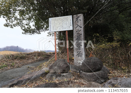 失蹤的骨庫 失蹤的骨庫 113457035