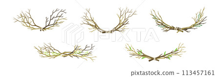 Bare Tree Branch Entangled in Semi Circle Vector Set 113457161