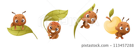 Cute Little Ant Character Engaged in Different Activity Vector Set Cute Little Ant Character Engaged in Different Activity Vector Set 113457288