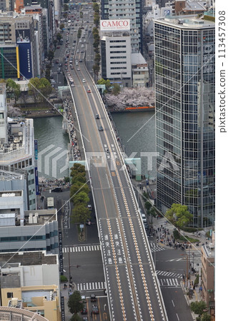 Bird's-eye view of Osaka Castle from the sky Cherry blossom season Ikoma mountain range Cherry blossoms in full bloom against the blue spring sky 113457308