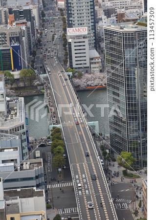 Bird's-eye view of Osaka Castle from the sky Cherry blossom season Ikoma mountain range Cherry blossoms in full bloom against the blue spring sky 113457309