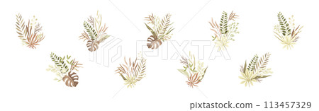 Tender Floral Bouquet Composition with Twigs Vector Set Tender Floral Bouquet Composition with Twigs Vector Set 113457329