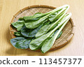 Fresh komatsuna in a colander 113457377