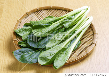 漏杓上的新鮮小松菜 漏杓上的新鮮小松菜 113457377