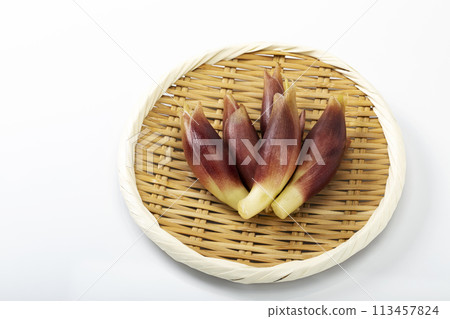 Myoga ginger on a tray with a white background 113457824