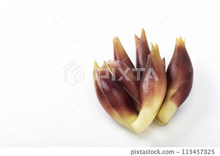 white background myoga 113457825