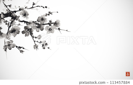 Minimalist sumi-e painting of sakura branches, with delicate cherry blossoms painted with black ink. Traditional oriental ink painting sumi-e, u-sin, go-hua. Translation of hieroglyph - joy 113457884