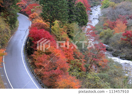 A curved mountain path during autumn foliage 113457910
