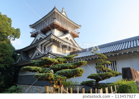 天守閣(愛知縣日新市岩崎城) 天守閣(愛知縣日新市岩崎城) 113457927