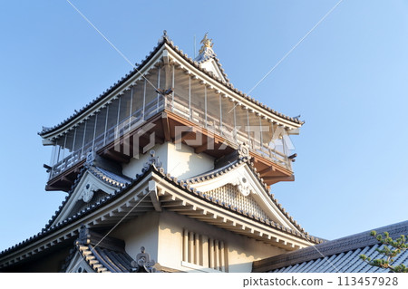 天守閣（愛知縣日新市岩崎城） 113457928