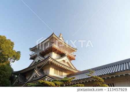 天守閣(愛知縣日新市岩崎城) 天守閣(愛知縣日新市岩崎城) 113457929