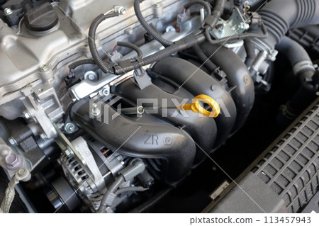 Oil level gauge for automobile engines Oil level gauge for automobile engines 113457943