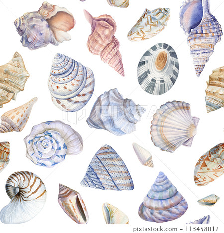 Sea shells. Seamless pattern with seashells. Marine background. Watercolor illustration for wrapping, textile, fabric  113458012