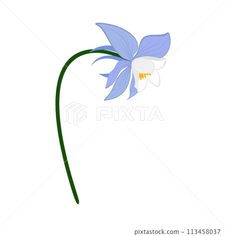 Meadow Flower Meadow Flower 113458037