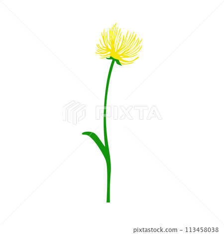 Meadow Flower Meadow Flower 113458038