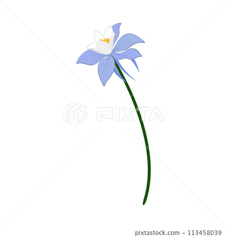 Meadow Flower Meadow Flower 113458039