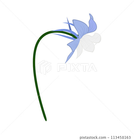 Meadow Flower Meadow Flower 113458163