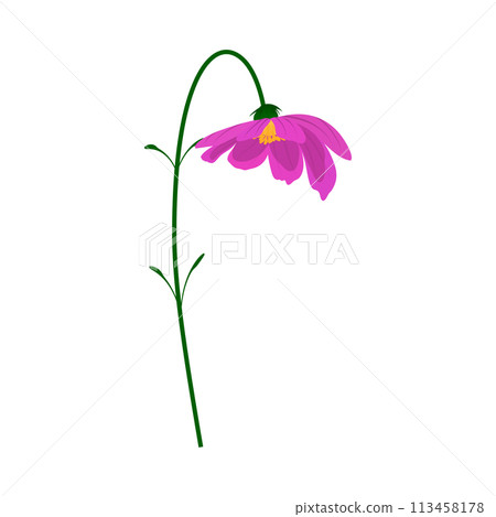 Meadow Flower Meadow Flower 113458178