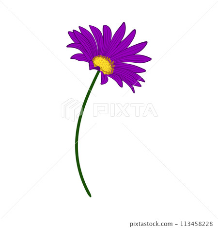 Meadow Flower Meadow Flower 113458228