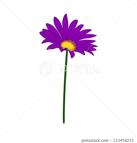 Meadow Flower Meadow Flower 113458231