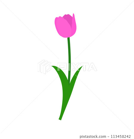 Spring Tulip Element Spring Tulip Element 113458242
