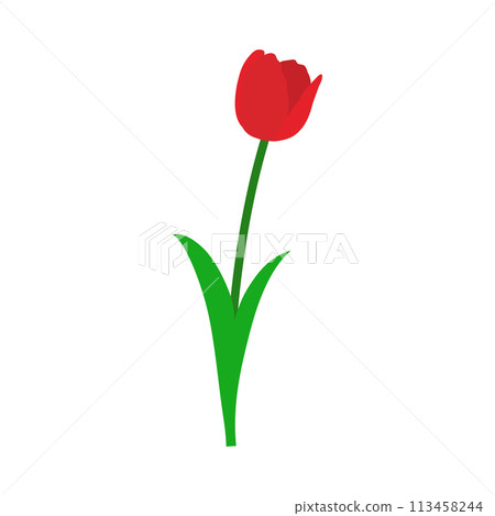 Spring Tulip Element Spring Tulip Element 113458244