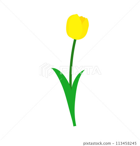 Spring Tulip Element Spring Tulip Element 113458245
