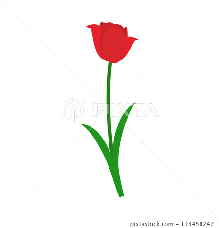 Spring Tulip Element Spring Tulip Element 113458247