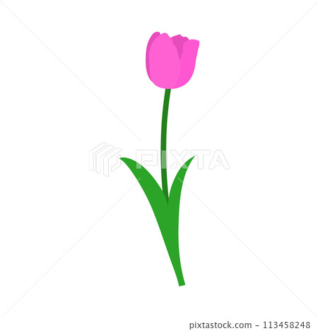 Spring Tulip Element Spring Tulip Element 113458248