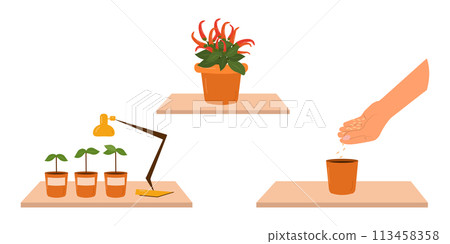 The concept of home growing fresh vegetables. Organic homemade vegetables. City garden. Vector illustration. 113458358