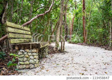 Trail park bench at Windley Key Fossil Reef Geological State Park in Islamorada, Florida 113458647