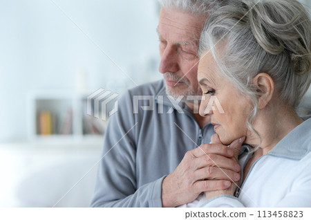 Close-up portrait of sad senior couple posing 113458823