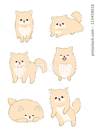 Orange Pomeranian 6 body illustration set Orange Pomeranian 6 body illustration set 113459018
