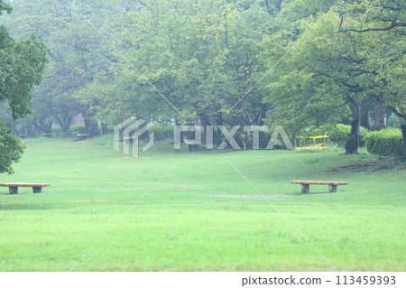 green park green park 113459393