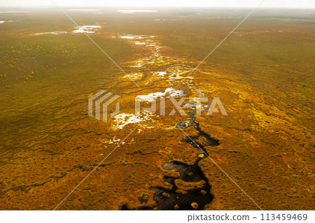 An aerial view of an autumn bog in Yelnya, Belarus, autumn. Ecosystems ecological problems climate change An aerial view of an autumn bog in Yelnya, Belarus, autumn. Ecosystems ecological problems climate change 113459469