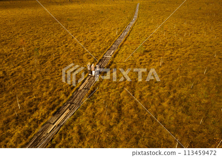 An aerial view of an autumn bog in Yelnya, Belarus, autumn. Tourists walking along the eco-trail An aerial view of an autumn bog in Yelnya, Belarus, autumn. Tourists walking along the eco-trail 113459472