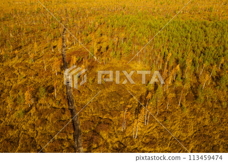 An aerial view of an autumn bog in Yelnya, Belarus, autumn. Ecosystems ecological problems climate change An aerial view of an autumn bog in Yelnya, Belarus, autumn. Ecosystems ecological problems climate change 113459474