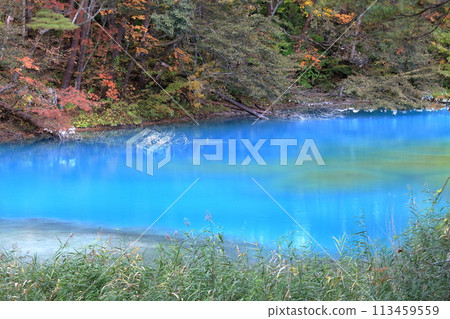 五色沼（福島縣北鹽原村里磐梯青沼、五色沼）分佈在磐梯山腳下 113459559