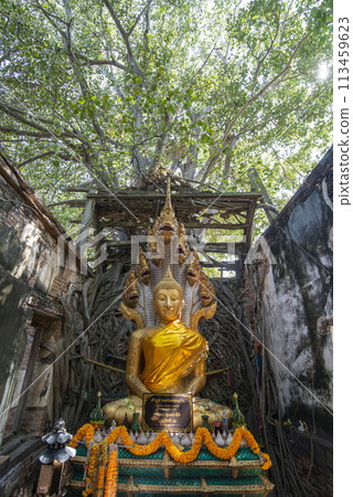 THAILAND ANG THONG WAT SANG KRATAI THAILAND ANG THONG WAT SANG KRATAI 113459623