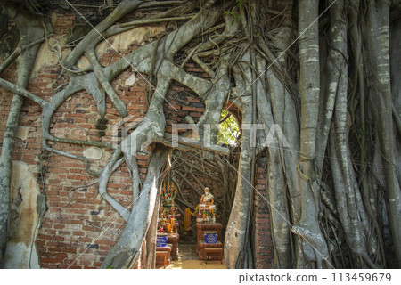 THAILAND ANG THONG WAT SANG KRATAI THAILAND ANG THONG WAT SANG KRATAI 113459679