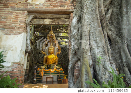 THAILAND ANG THONG WAT SANG KRATAI THAILAND ANG THONG WAT SANG KRATAI 113459685
