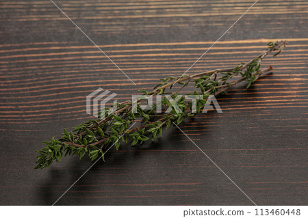 Thyme - aromatic seasoning herbal plant 113460448