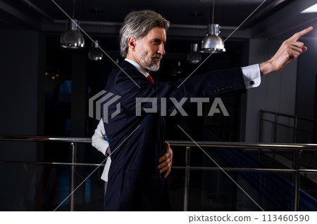 American politician at press conference after campaign speech American politician at press conference after campaign speech 113460590