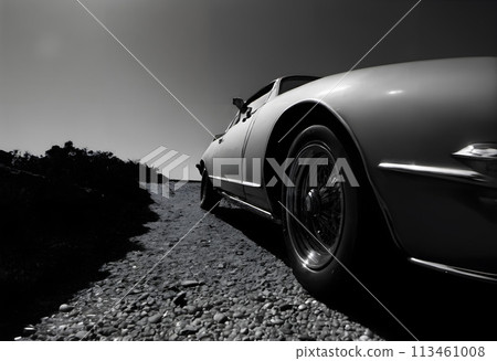 The shiny curves of a classic car from a low and close perspective. 113461008